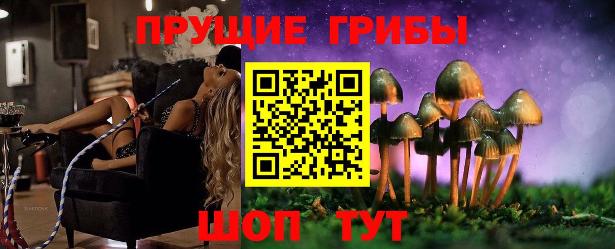 где найти наркотики  Галлюциногенные грибы Psilocybe  Вход с VPN  Коммунар 