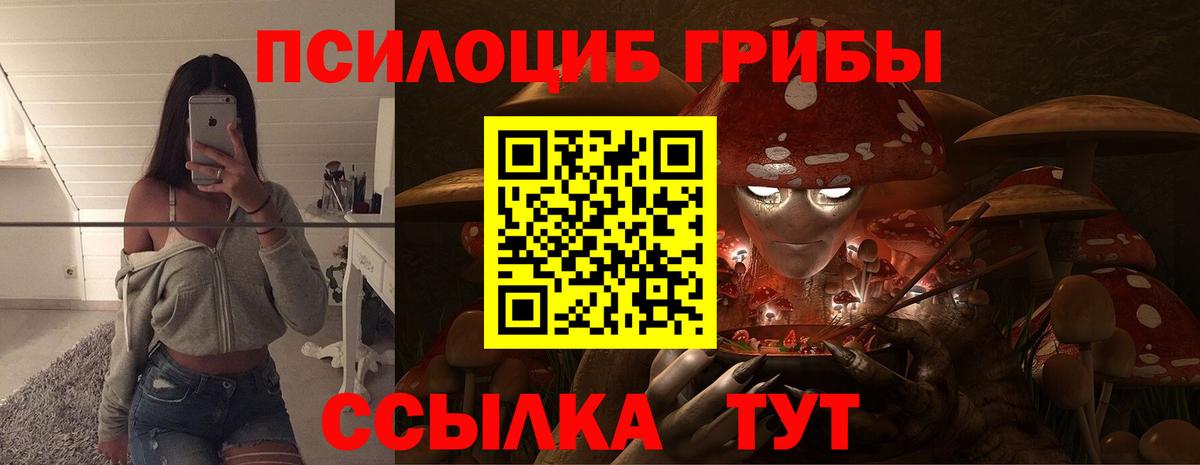 Псилоцибиновые грибы Psilocybe Коммунар